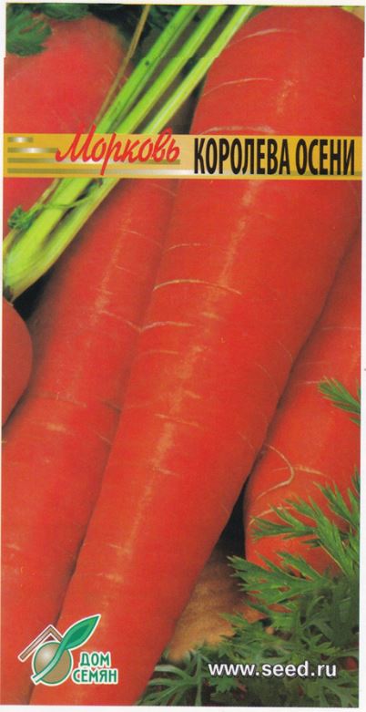 Морковь_Королева Осени_1680_шт._Дом Семян С-П