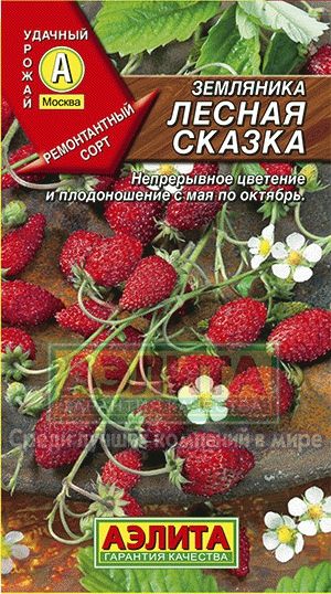 Земляника_Лесная Сказка_0_г._Аэлита