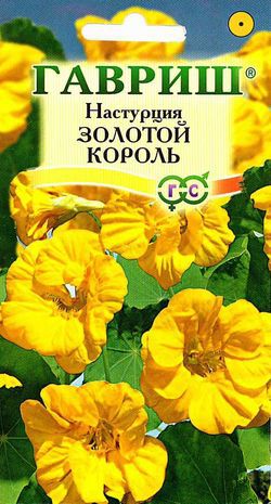 Настурция_Золотой король_1_г._Гавриш