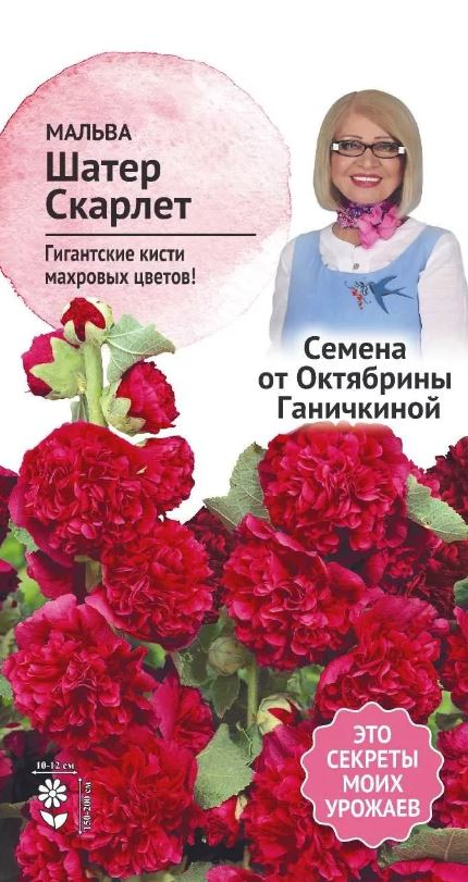 Шток-роза (мальва)_Шатер Скарлет_0,1_г._АгроСидсТрейд