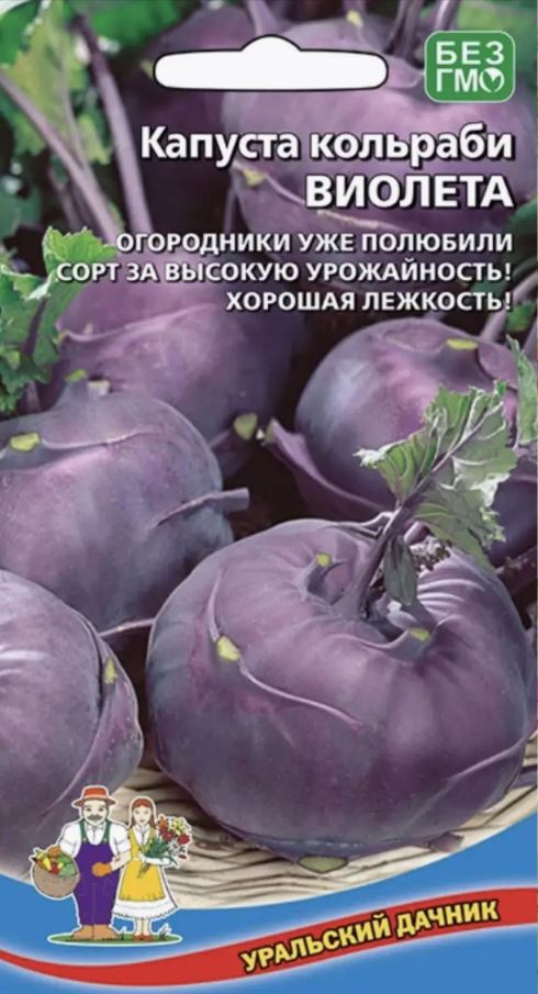 Капуста_кольраби_Виолетта_0,04_г._Уральский Дачник