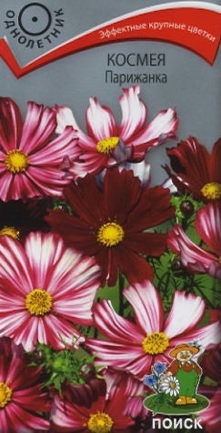 Космея_Парижанка_0,1_г._Поиск