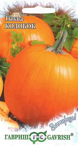 Тыква_Колобок Заморозь!_1_г._Гавриш
