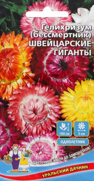 Гелихризум (бессмертник)_Швейцарские Гиганты см_0,04_г._Уральский Дачник
