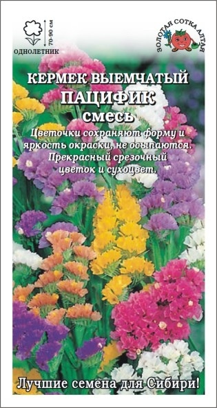 Статица (лимониум)_Пацифик см_0,1_г._Золотая Сотка Алтая