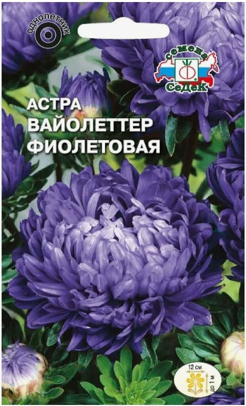 Астра_Вайолеттер Фиолетовая (пионовидная)_0,2_г._Седек