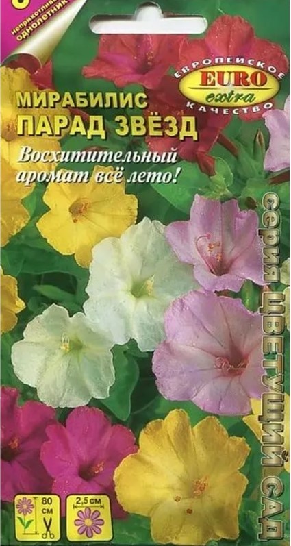 Мирабилис_Парад Звёзд см_1_г._Аэлита Э