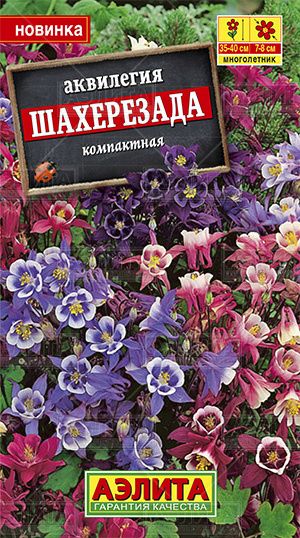 Аквилегия (водосбор)_Шахерезада см_0,1_г._Аэлита