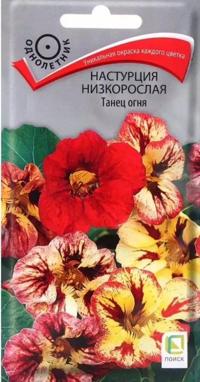Настурция_Танец Огня_1_г._Поиск