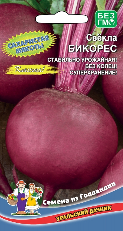 Свекла_Бикорес_2_г._Уральский Дачник