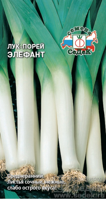 Лук_Элефант (порей)_1_г._Седек