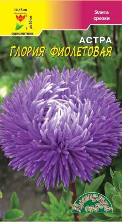 Астра_Глория фиолетовая (хризантемовидная)_0,2_г._Цветущий Сад