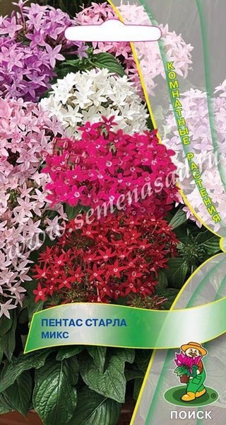 Пентас_Микс Старла_5_шт._Поиск