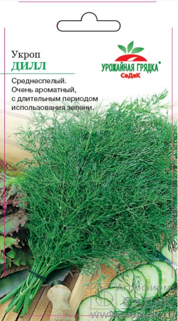 Укроп_Дилл_2_г._Седек