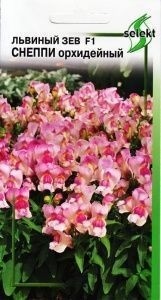 Львиный зев (антирринум)_Снеппи орхидейный_15_шт._Дом Семян С-П