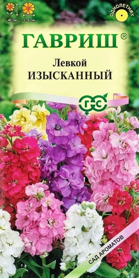 Левкой (маттиола)_Изысканная см_0,04_г._Гавриш