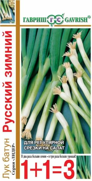 Лук_Русский Зимний 1+1 батун (многолетний)_0,04_г._Гавриш