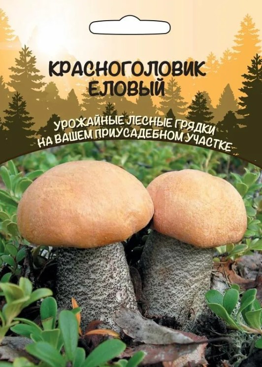 Мицелий_Красноголовик Еловый б/ф_30_мл._Уральский Дачник