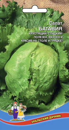 Салат_Батавия (кочан)_0,3_г._Уральский Дачник