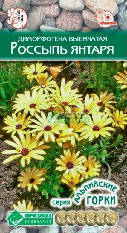 Диморфотека_Россыпь Янтаря (Альпийская Горка)_0,1_г._Евросемена