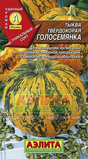 Тыква_Голосемянка_1_г._Аэлита