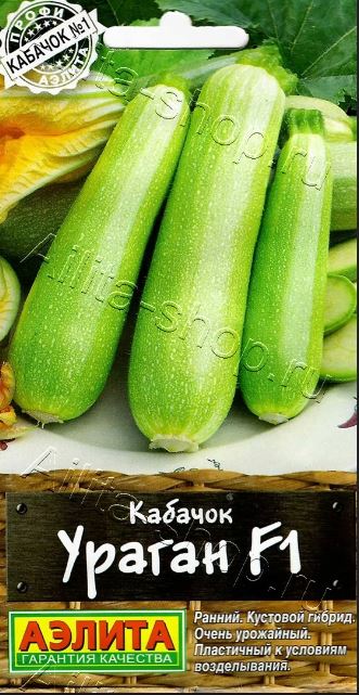 Кабачок_Ураган F1 (Профи)_0,04_шт._Аэлита