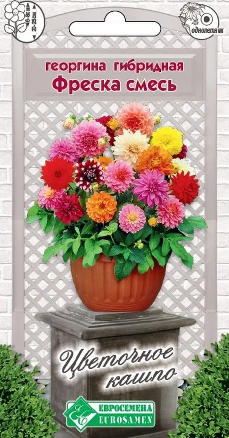 Георгин_Фреска см (Цветочное Кашпо)_7_шт._ЕВРОСЕМЕНА