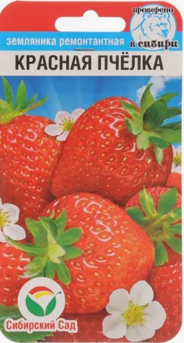 Земляника_Красная Пчелка (ремонтантная)_10_шт._Сибирский Сад