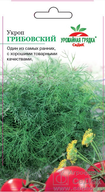 Укроп_Грибовский_2_г._Седек