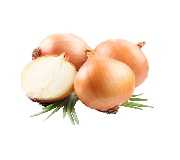 Лук-севок Штуттгартер Россия  ( НА ЗЕЛЕНЬ)