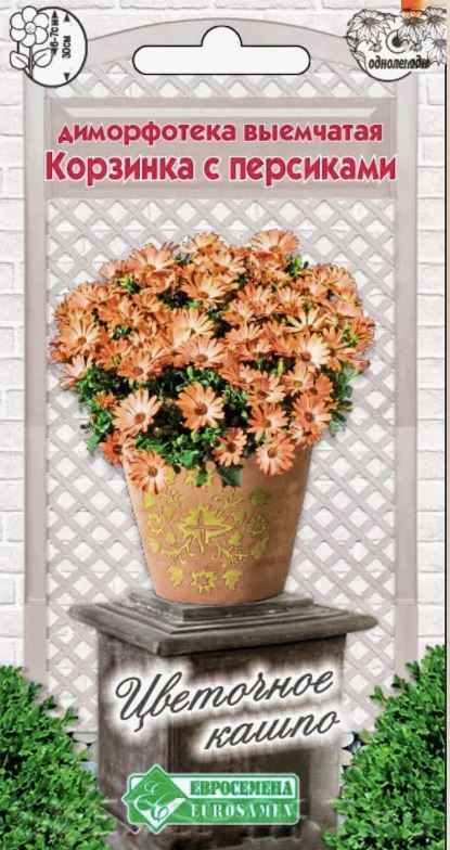 Диморфотека_Корзинка с Персиками (Цветочное Кашпо)_0,2_г._Евросемена
