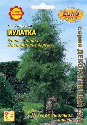 Ольха_Мулатка чёрная_0,1_г._Аэлита Э