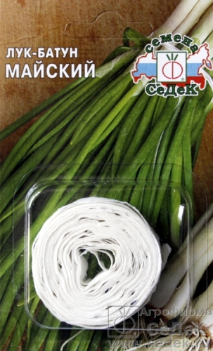 Лук_Майский (батун многолетний)_1_г._Седек