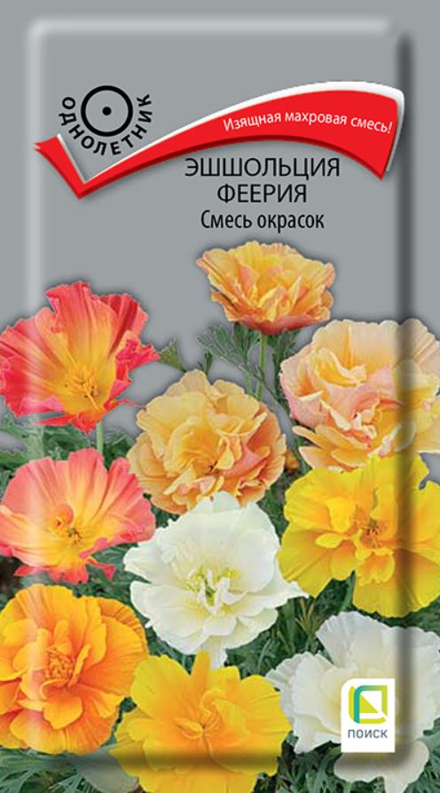 Эшшольция_Феерия см_0,1_г._Поиск