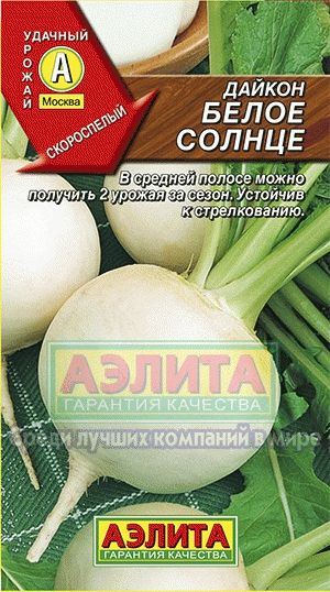 Дайкон_Белое солнце_1_г._Аэлита