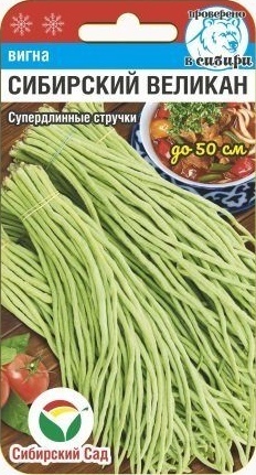 Фасоль_Вигна Сибирский Великан_6_шт._Сибирский Сад