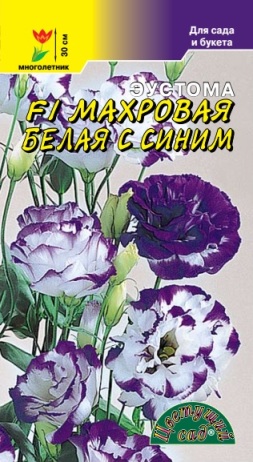 Эустома (Лизиантус)_Белая с Синим F1 (махр)_5_шт._Цветущий Сад