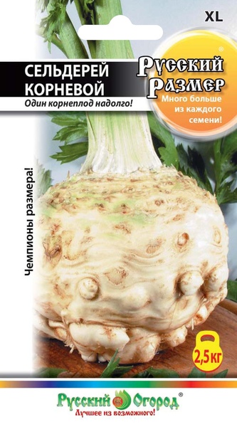 Сельдерей_Русский размер (корневой)_100_шт._НК