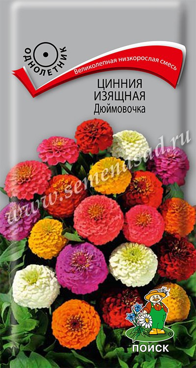 Цинния_Дюймовочка см_0,4_г._Поиск