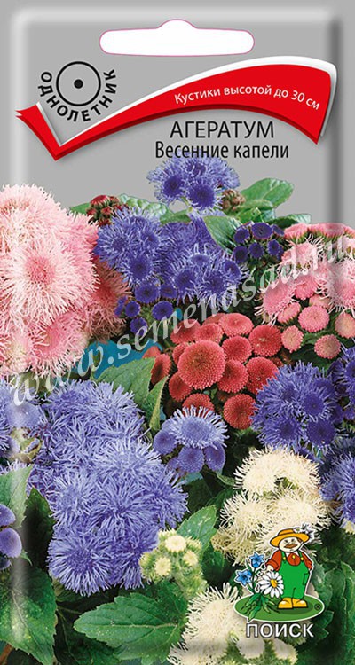 Агератум_Весенние Капели см_0,2_г._Поиск
