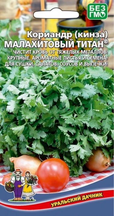 Кориандр (кинза)_Малахитовый Титан_0,04_г._Уральский Дачник