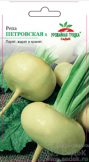 Репа_Петровская_1_г._Седек