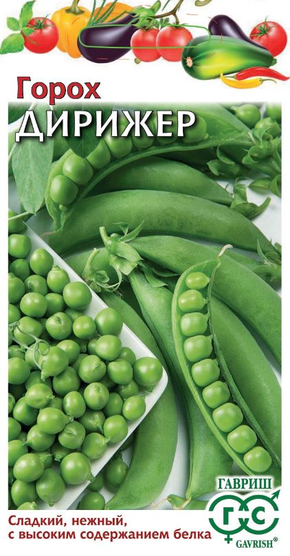 Горох_Дирижер_0,04_г._Гавриш