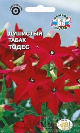 Табак душистый_Тодес (красный)_0,1_г._Седек