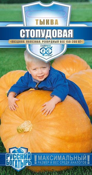 Тыква_Стопудовая (Русский богатырь)_1_г._Гавриш