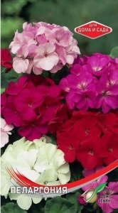 Герань (Пеларгония)_смесь_6_шт._Дом Семян С-П