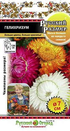 Гелихризум (бессмертник)_Русский размер см_100_шт._НК