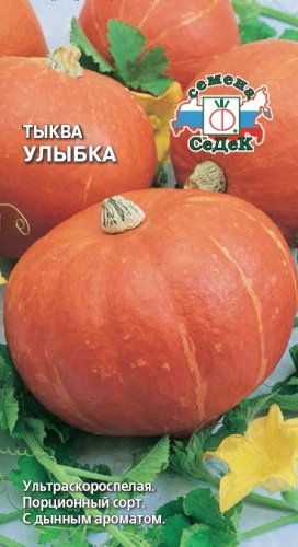 Тыква_Улыбка_1,5_г._Седек