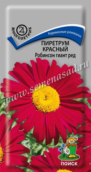 Пиретрум_Робинсон гиант ред_0,2_г._Поиск
