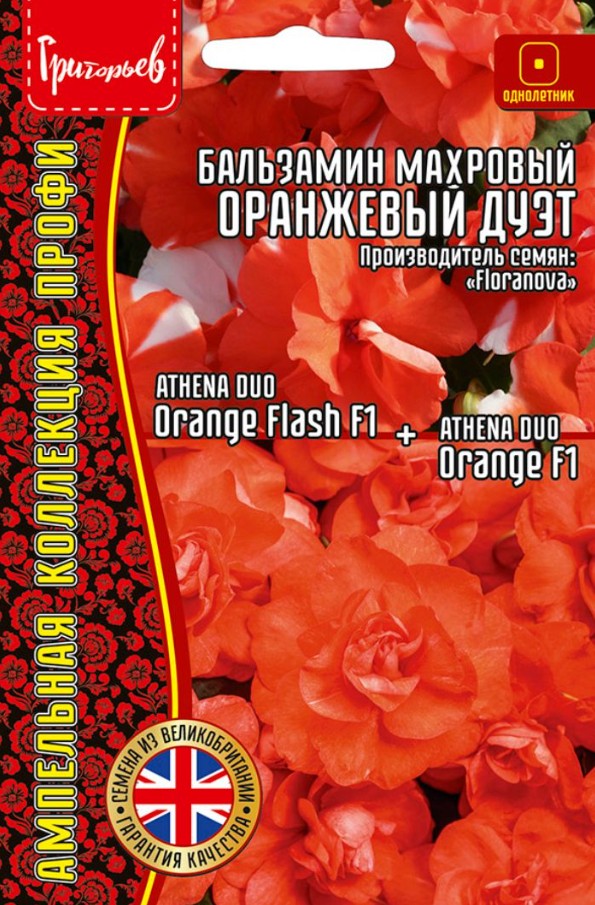 Бальзамин_Оранжевый Дуэт F1 (махр серия Athena) б/ф_4_шт._Григорьев